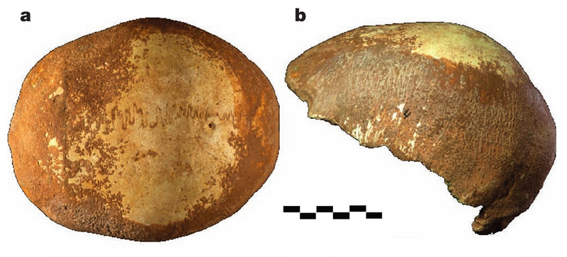 Illustration for article titled Early Humans May Have Interbred With Neanderthals 55,000 Years Ago